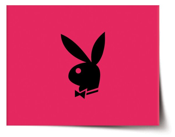 Plakát SABLIO - Playboy 60x40 cm