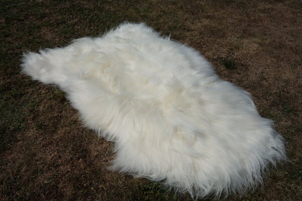 ARCTIC FUR Velká islandská ovčí kůže BIGGY bílá