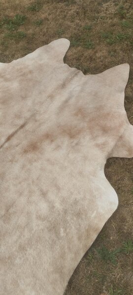ARCTIC FUR Hovězí předložka 100% příroda