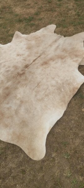 ARCTIC FUR Hovězí předložka 100% příroda