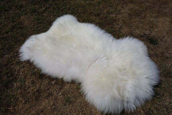 ARCTIC FUR Ovčí kůže dlouhá vlna, bílá 100% příroda