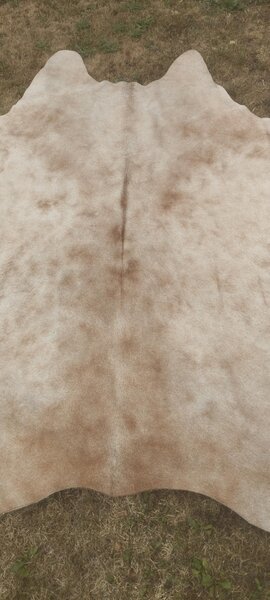 ARCTIC FUR Hovězí předložka 100% příroda