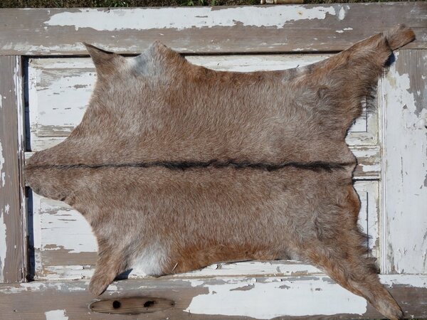 ARCTIC FUR Kozí kůže ALPS 6108 velká 100% příroda