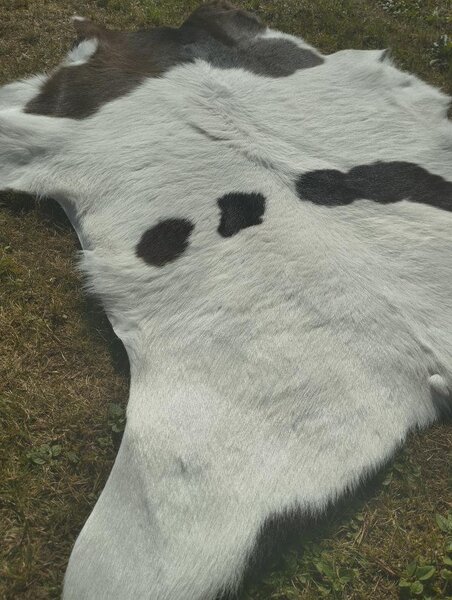 ARCTIC FUR Pravá kůže z teletiny BRUNO 6118 hnědo-bílá