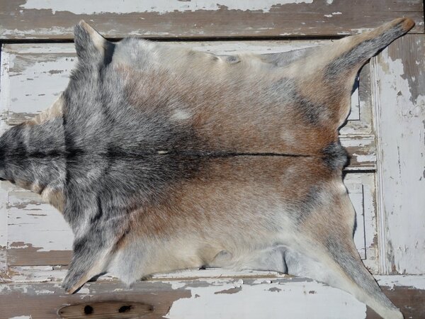 ARCTIC FUR Kozí kůže ALPS 6107 velká 100% příroda