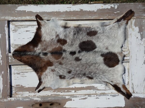 ARCTIC FUR Kozí kůže ALPS 6113 velká 100% příroda