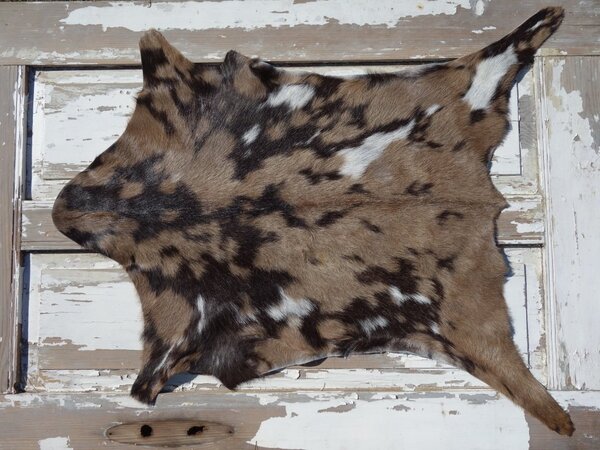 ARCTIC FUR Kozí kůže ALPS 6106 velká 100% příroda