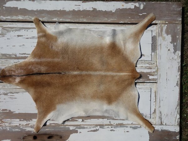 ARCTIC FUR Kozí kůže ALPS 6112 velká 100% příroda