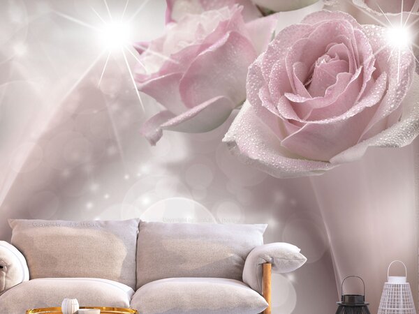 Fototapeta Romantická kompozice - motiv růží v bledě růžové barvě s leskem