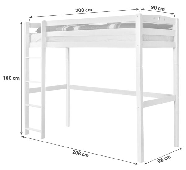 VYSOKÁ POSTEL, 90/200 cm, barvy buku Livetastic - Vyvýšené postele, Online Only