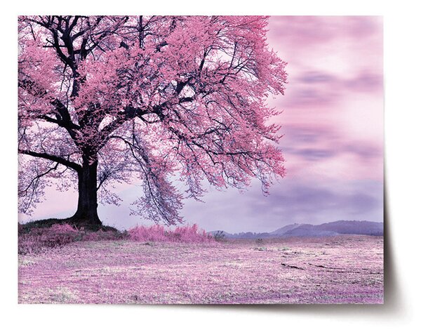 Plakát SABLIO - Růžový strom 60x40 cm