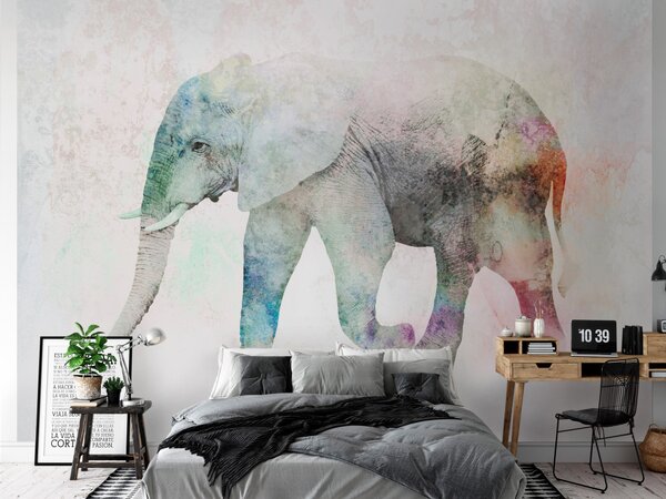 Fototapeta Africká zvířata - slon na jednolitém pozadí s barevným akcentem
