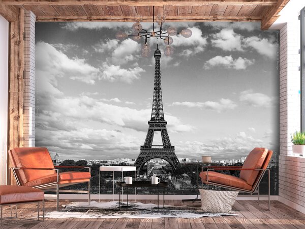 Fototapeta Paříž a Eiffelova věž - černobílá architektura s věží v centru