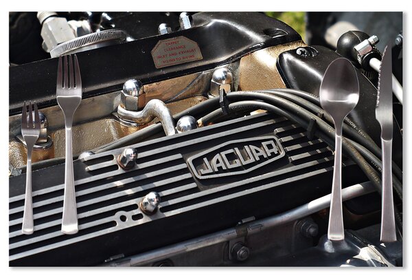 Prostírání SABLIO - Jaguar 40x30cm