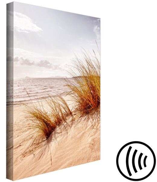 Obraz Odpolední vítr (1-dílný) svislý - Plážová krajina v boho stylu