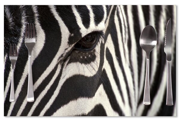 Prostírání SABLIO - Detail zebra 40x30cm