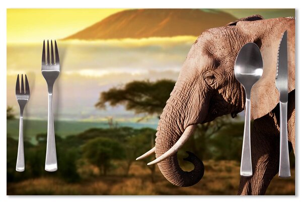 Prostírání SABLIO - Slon z profilu 40x30cm