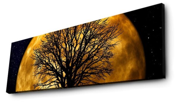 Hanah Home Obraz s led osvětlením Ledda Night 90x30 cm