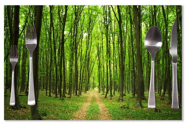 Prostírání SABLIO - Cesta v lese 40x30cm