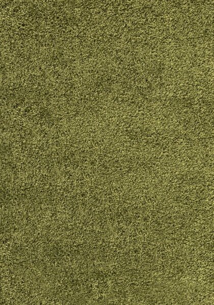 Ayyildiz Chlupatý kusový koberec Dream Shaggy 4000 zelený Typ: 200x290 cm