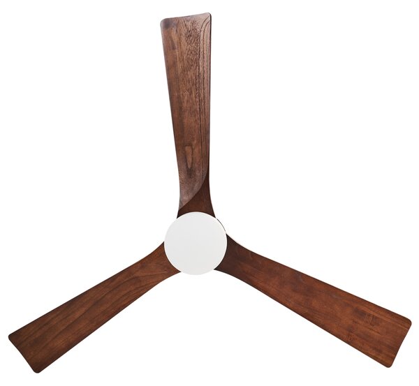 Stropní ventilátor se světlem ARUWIMI s dálkovým ovládáním LED Mosazná