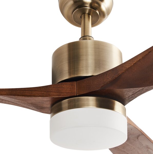Stropní ventilátor se světlem ARUWIMI s dálkovým ovládáním LED Mosazná