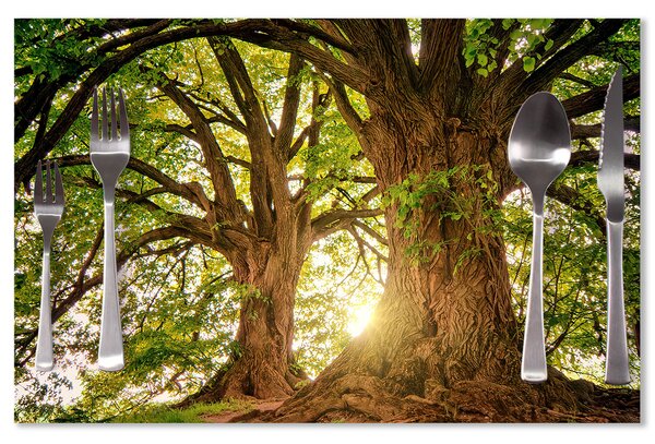Prostírání SABLIO - Stromy 40x30cm
