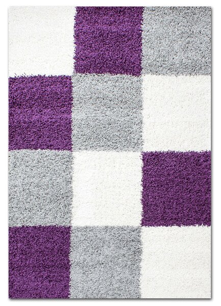 Ayyildiz Chlupatý kusový koberec Life Shaggy 1501 fialový Typ: 60x110 cm