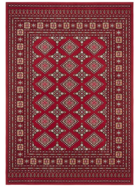 Klasický Kusový koberec Mirkan 104108 Červený Typ: 200x290 cm
