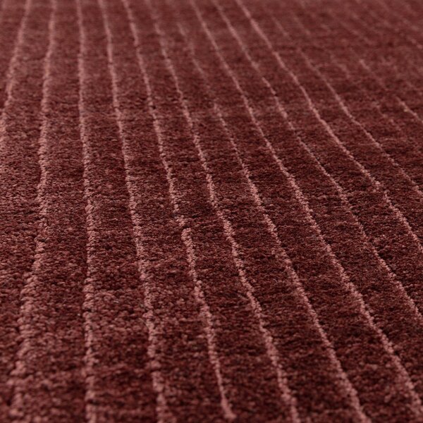 Vínový ručně tkaný koberec 160x230 cm – Asiatic Carpets