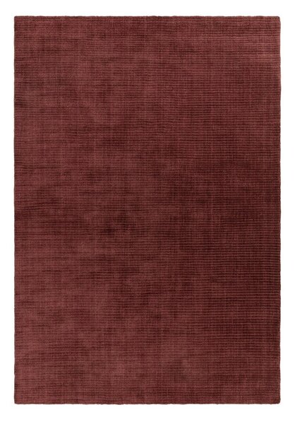 Vínový ručně tkaný koberec 160x230 cm – Asiatic Carpets