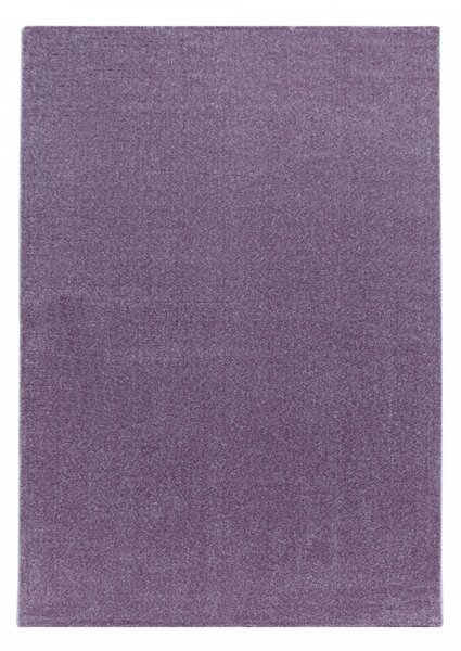 Moderní kusový koberec Rio 4600 lila | Fialová Typ: 120x170 cm