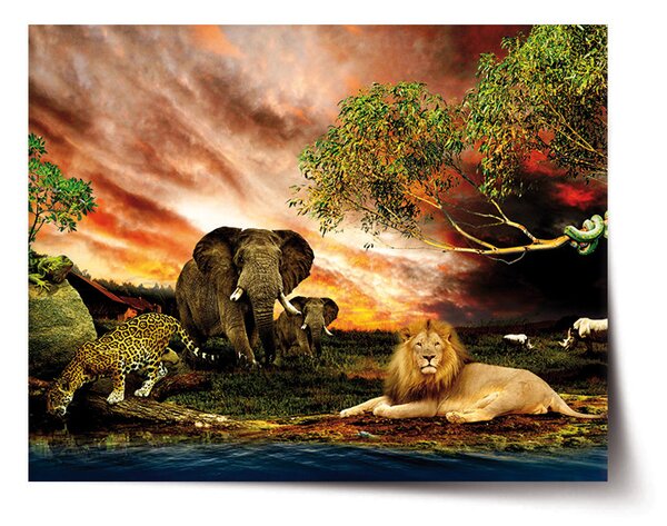 Plakát SABLIO - Zvířata ze Sahary 60x40 cm