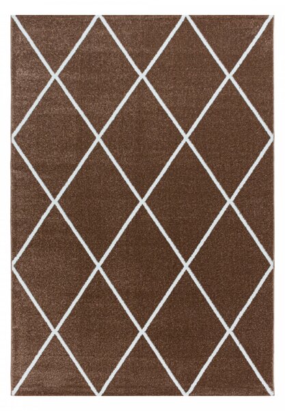 Moderní kusový koberec Rio 4601 copper | Hnědá Typ: 240x340 cm
