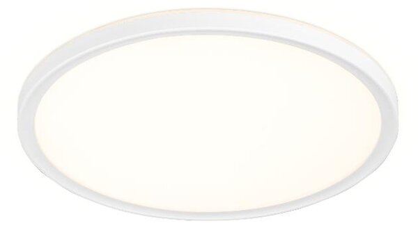 Livarno® LED stropní svítidlo (bílá) (100409538002)