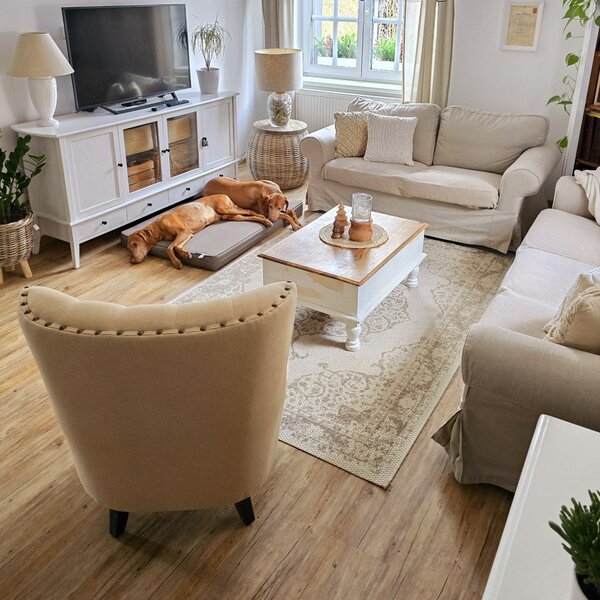 NORTHRUGS Kusový koberec Beach 103854 Cream/Beige – na ven i na doma - 80x150 cm