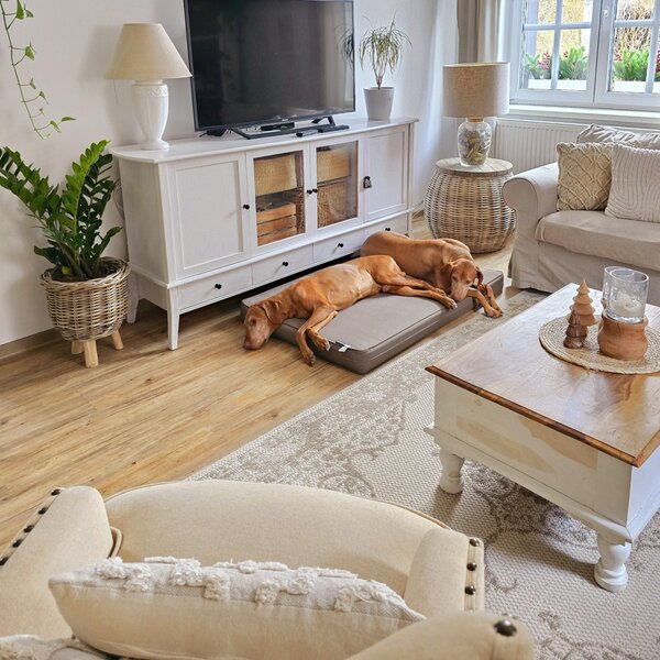 NORTHRUGS Kusový koberec Beach 103854 Cream/Beige – na ven i na doma - 80x150 cm