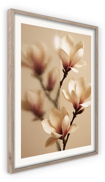 Tištěný obraz s rámem 50x70 cm Soft Magnolia – Styler