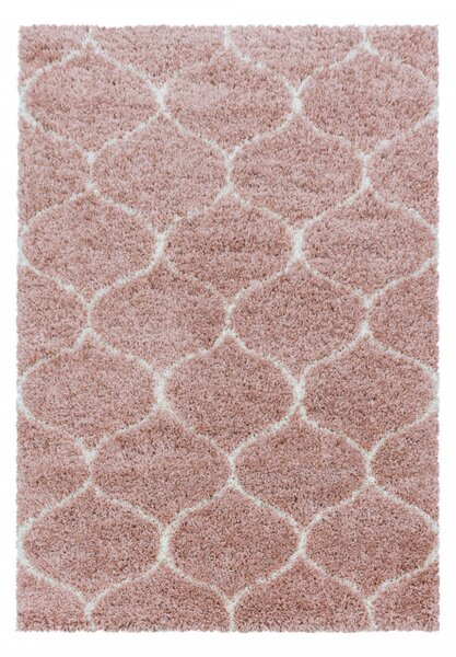 Moderní kusový koberec Salsa Shaggy 3201 rose | Růžová Typ: 80x250 cm