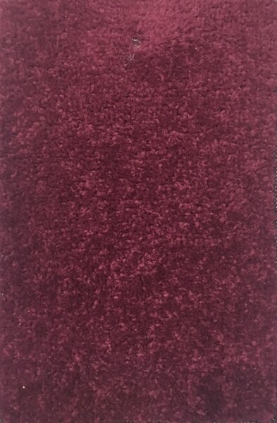 Moderní kusový koberec Eton | fialový Typ: 120x170 cm