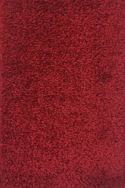 Moderní kusový koberec Eton | vínový Typ: 80x150 cm