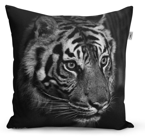 Polštář SABLIO - Černobílý tygr 50x50 cm