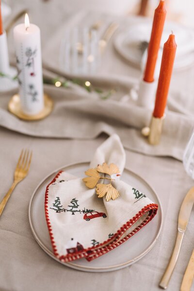 Ubrousek z organické bavlny Winterland