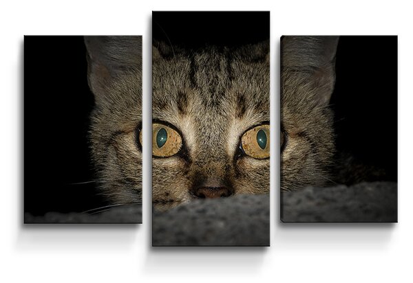 Sablio Obraz - 3-dílný Kočka - 75x50 cm
