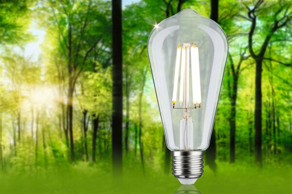 PAULMANN Eco-Line Filament 230V LED žárovka ST64 E27 4W 3000K čirá