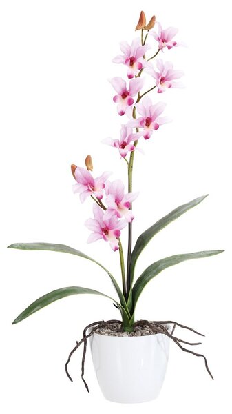 Gasper Orchidej 60cm růžová (bez květináče)