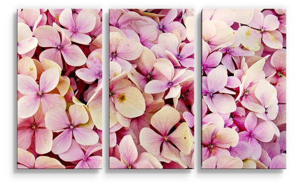 Sablio Obraz - 3-dílný Růžové květy - 120x80 cm