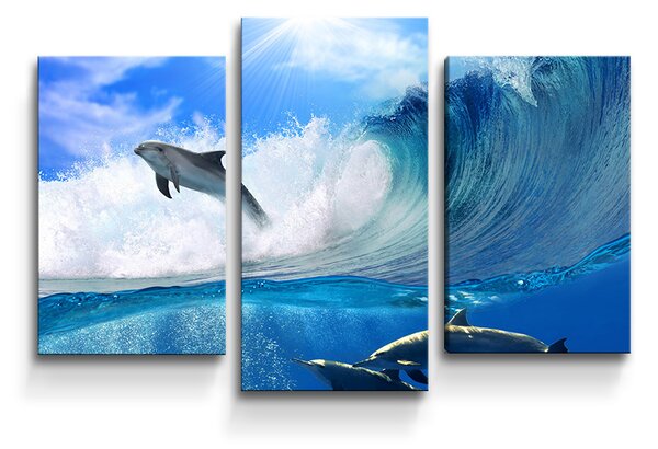 Sablio Obraz - 3-dílný Delfíni ve vlnách - 75x50 cm