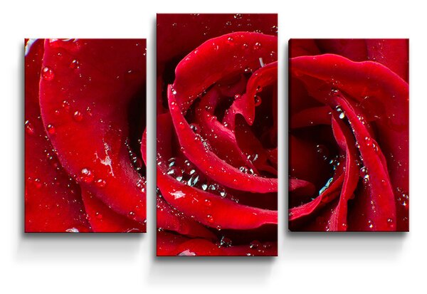 Sablio Obraz - 3-dílný Růže - 75x50 cm