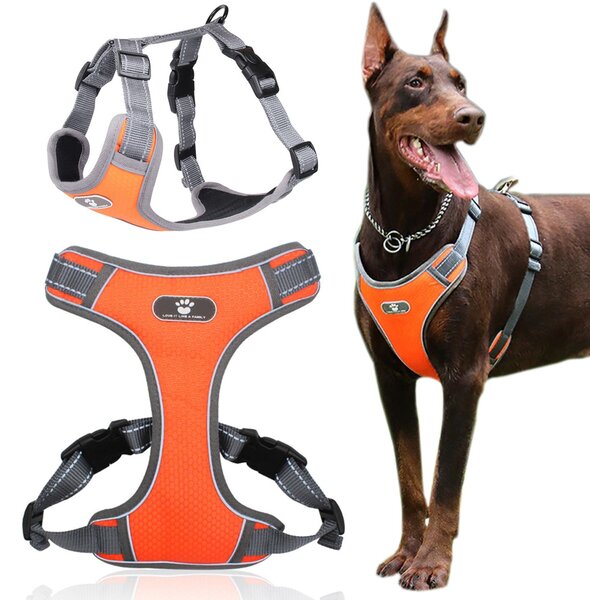 TZB Postroj pro psy Astro XL oranžový